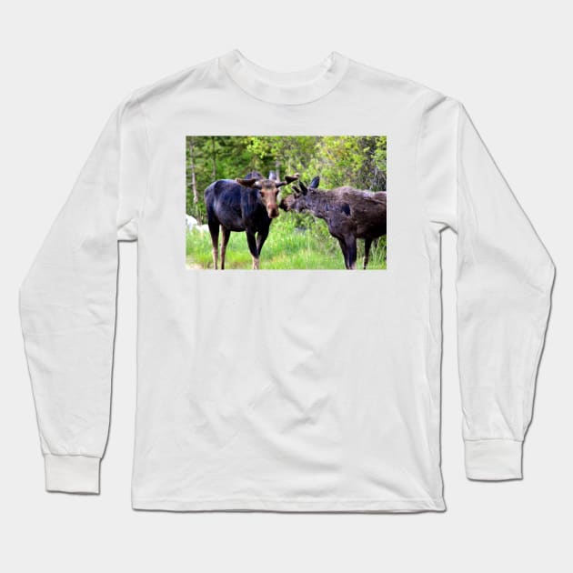 Young Moose Brothers Photograph Long Sleeve T-Shirt by Leslie Pino Durant